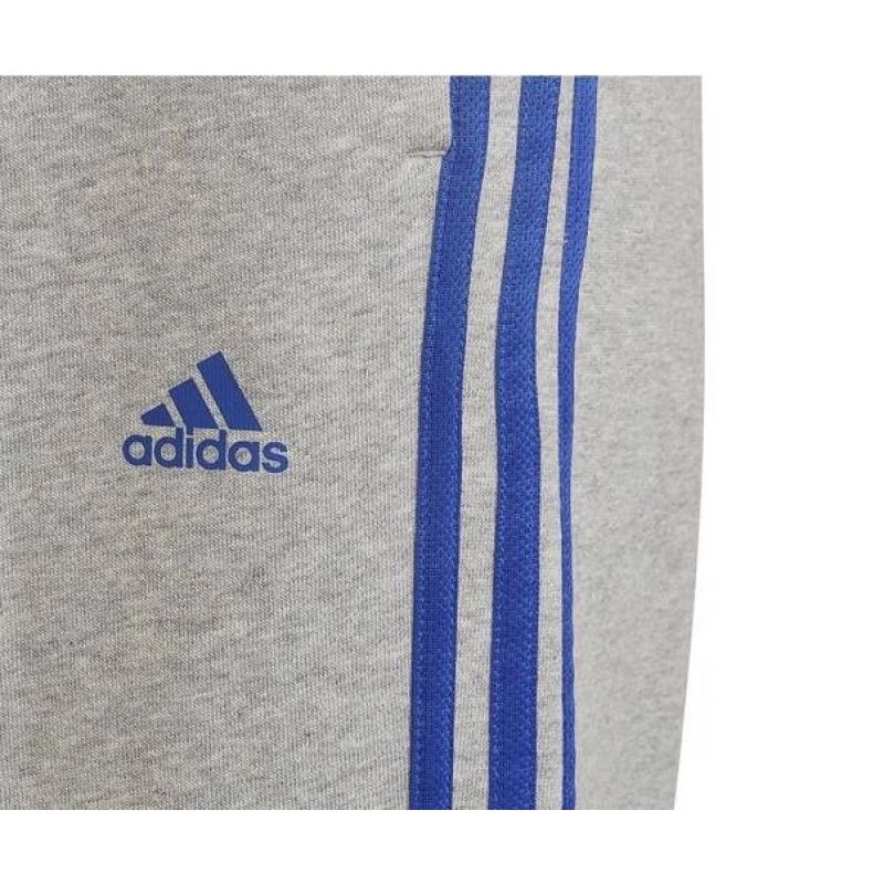 Adidas Trainings Jr HN6712 pants Clothing/Training Adidas