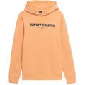 Sweatshirt 4F M266 M 4FSS23TSWSM266 64S Clothing/Training 4F
