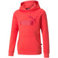 Puma ESS Logo Hoodie FL Jr 587031 35 Clothing/Training Puma