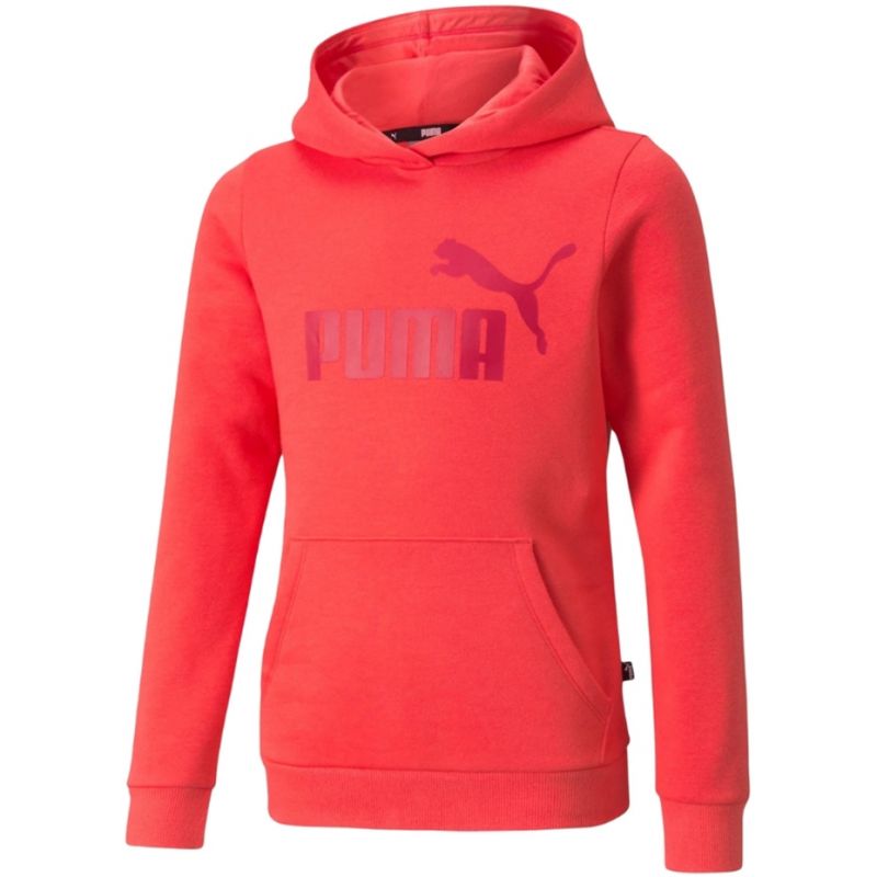 Puma ESS Logo Hoodie FL Jr 587031 35 Clothing/Training Puma