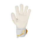Reusch Attrakt AB1 Advance goalkeeper gloves white 5670002 1130