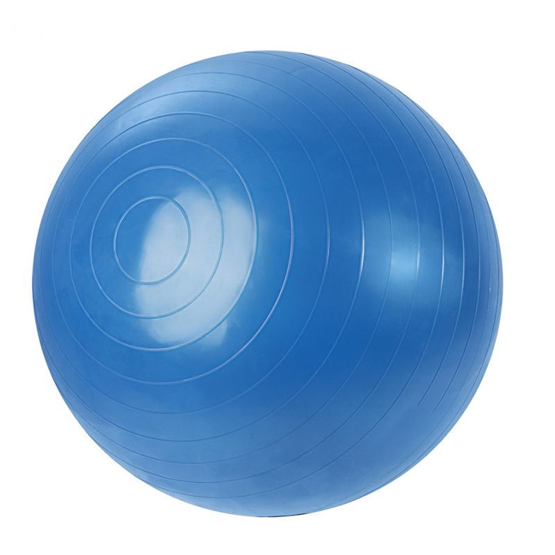 Yakimasport 100047 gym ball Accessories/Training equipment Yakima