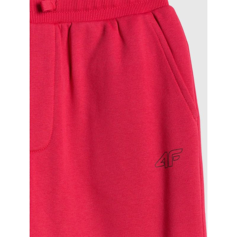 Boys' jogger sweatpants 4F 4FJRSS26TTROM1824-62S 4f
