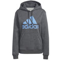 Sweatshirt adidas Big Logo FL R HD W IC9845 Clothing/Training Adidas