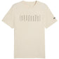 Puma Sport Graphic Tee M 684617 87 Clothing/Lifestyle/T-shirts Puma