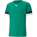 Puma teamRise Jersey M 704932 05 Clothing/Training Puma