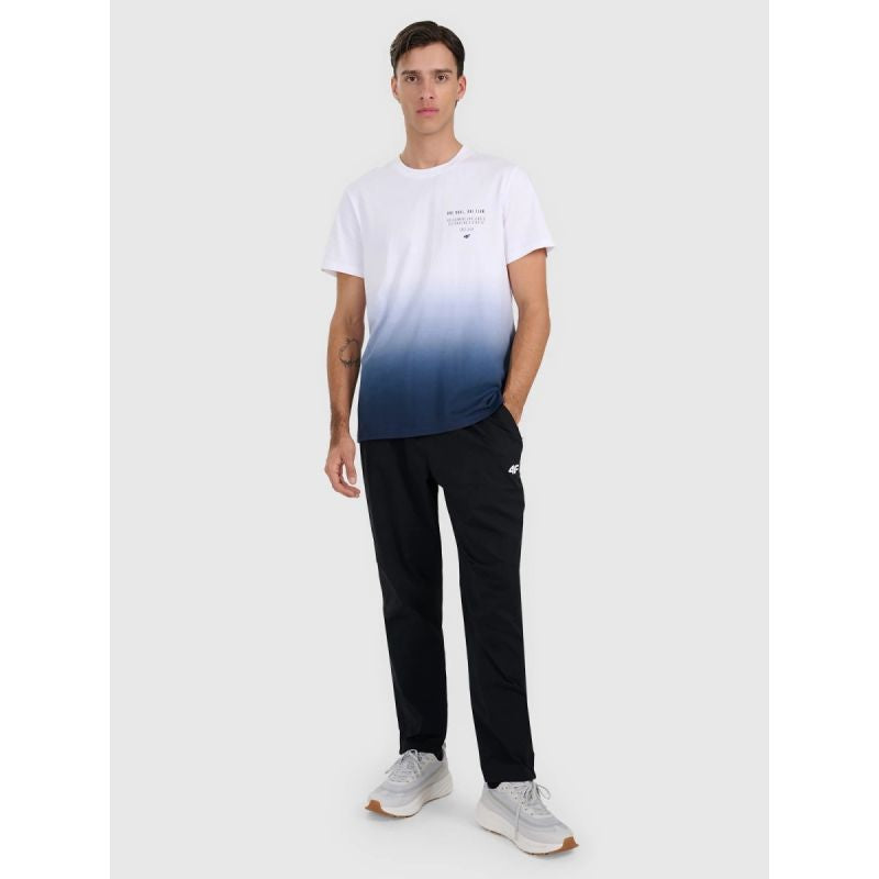 Men's regular printed T-shirt 4F 4FRAW25TTSHM3226-31S 4f