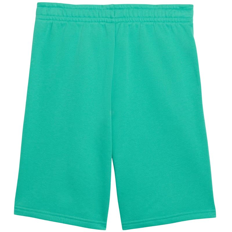 Puma ESS Small No. 1 Logo Kids Shorts Green 692974 40