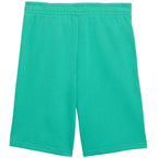 Puma ESS Small No. 1 Logo Kids Shorts Green 692974 40