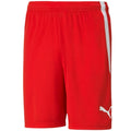 Puma team shortsLIGA M 704924 01 Clothing/Football Puma