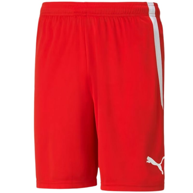 Puma team shortsLIGA M 704924 01 Clothing/Football Puma