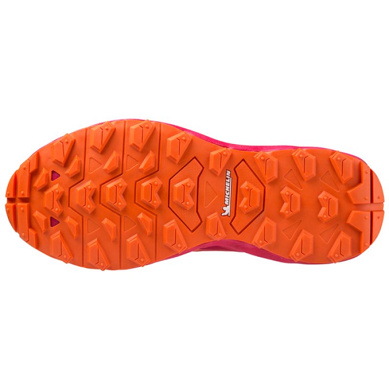 Mizuno Wave Daichi 7 GTX W shoes J1GK225672 Footwear/Running/Women Mizuno