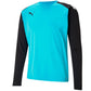 Goalkeeper jersey Puma teamPACER GK LS M 704933 40 Clothing/Football Puma