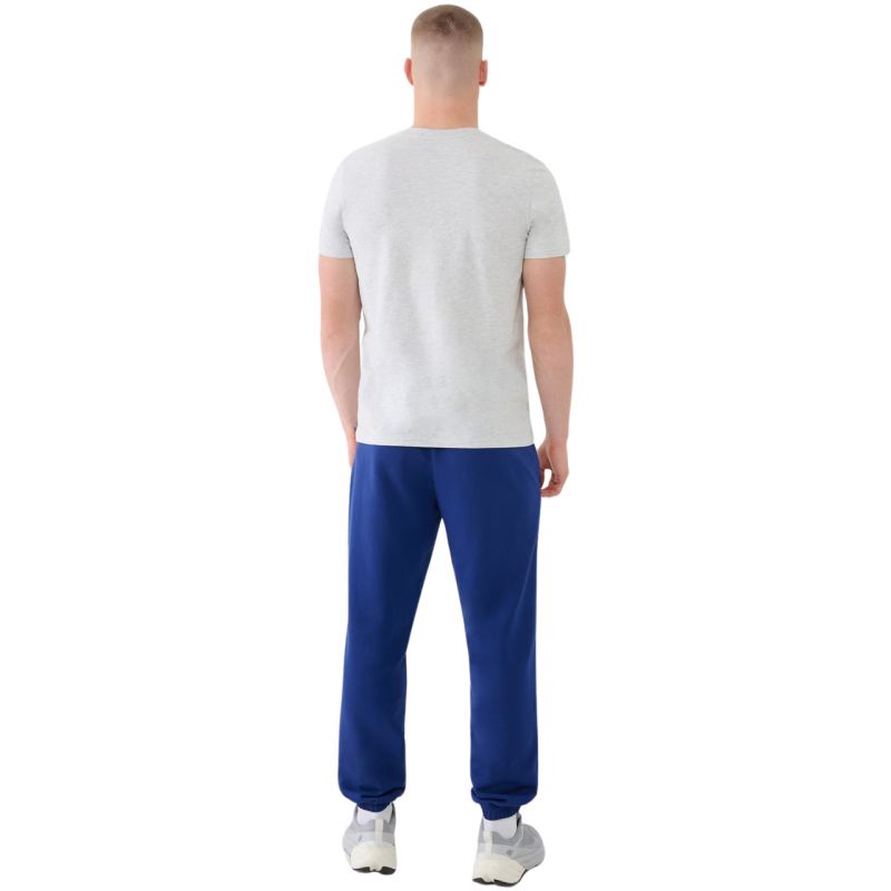 Trousers 4F Cas M1139 M 4FWMM00TTROM1139 031S Clothing/Lifestyle/Trousers, shorts/4F 4F