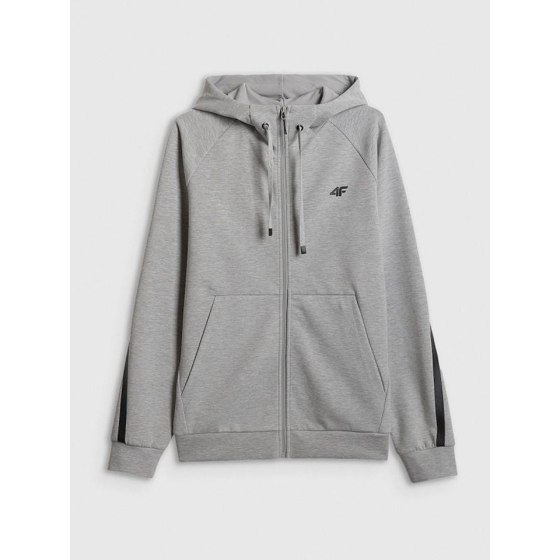 Men's regular hooded sweatshirt 4F 4FRSS26TSWSM2974-27M 4f