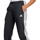 adidas Tricot 3-Stripes W Pants JF3383 Clothing/Lifestyle/Trousers, shorts Adidas