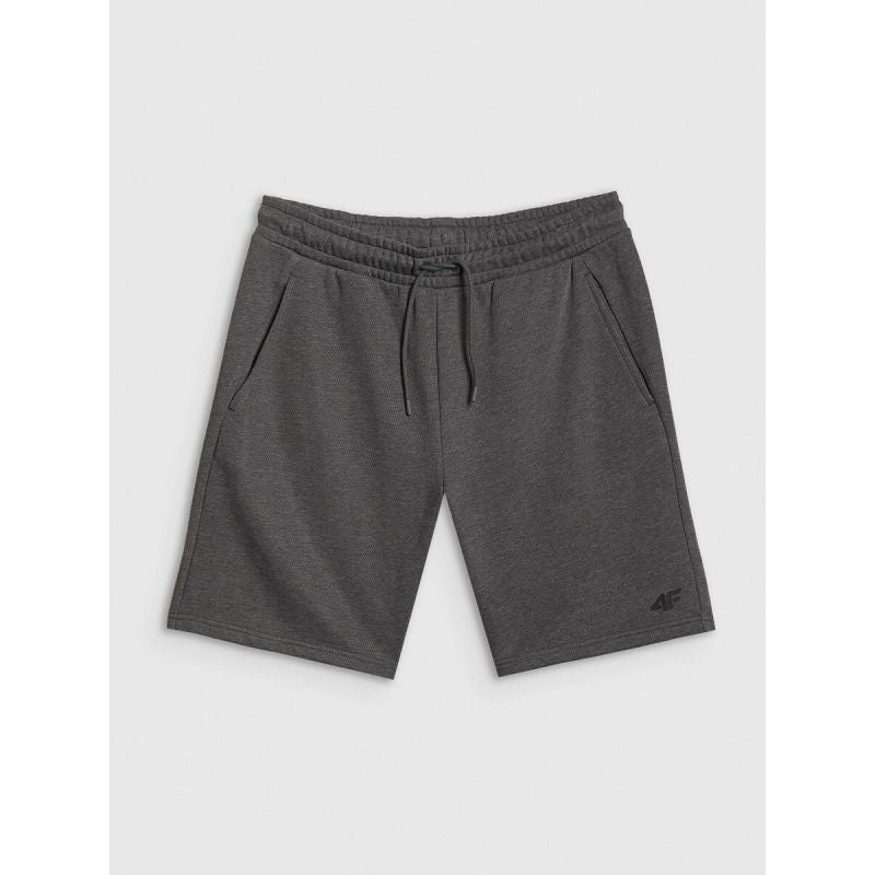 Men's sweatpants 4F 4FRSS26TSHOM0970-23M 4f