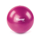 Tiguar easyball gym ball TI-PEB025 Accessories/Training equipment Your Sports Performance