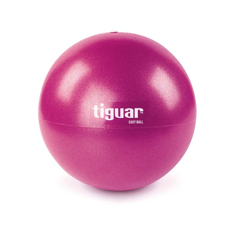 Tiguar easyball gym ball TI-PEB025 Accessories/Training equipment Your Sports Performance