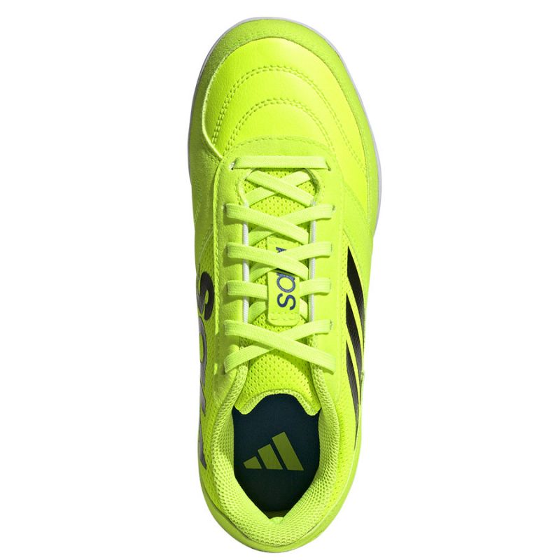 Adidas Top Sala Competition II Jr JP5640 shoes Footwear/Football/JR/IN Adidas
