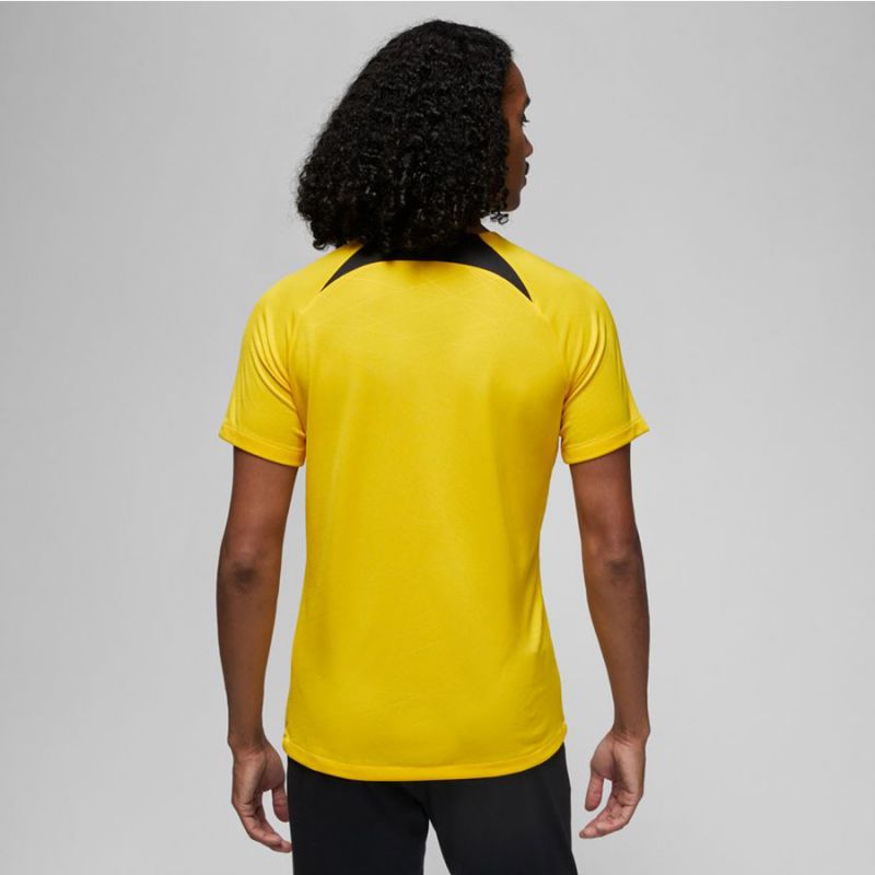 Nike PSG DF Academy Pro SS Top PM 4TH M DR4906 720 Clothing/Football Nike