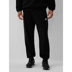 Men's jogger sweatpants 4F 4FRAW26TTROM2176-20S