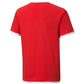 Puma teamLIGA Jersey Jr. 704925 01 Clothing/Football Puma