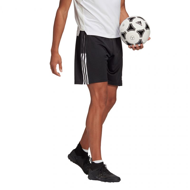 Adidas Tiro 21 Training M GN2157 shorts Clothing/Training Adidas
