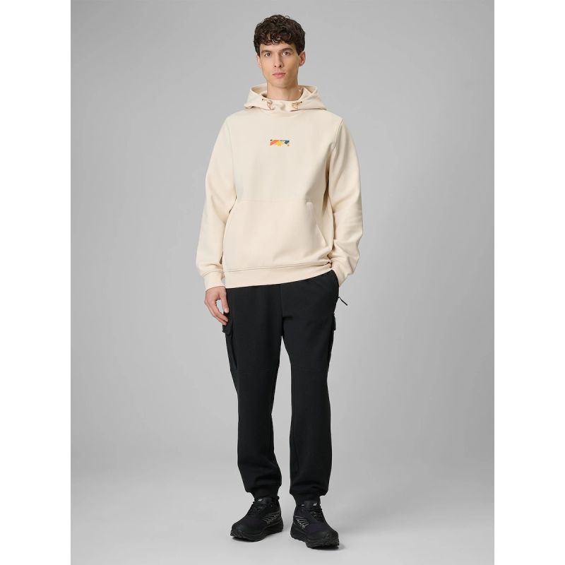 Men's regular hooded sweatshirt 4F 4FRSS26TSWSM2894-12S 4f
