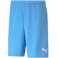 Shorts Puma teamRise Short Team M 704942 18 Clothing/Training Puma