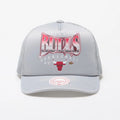 Mitchell & Ness NBA Chicago Bulls Glow Up Trucker Gray Cap - HHSSINTL1436-CBUGREY Odzież/Czapki/Czapki z daszkiem Your Sports Performance