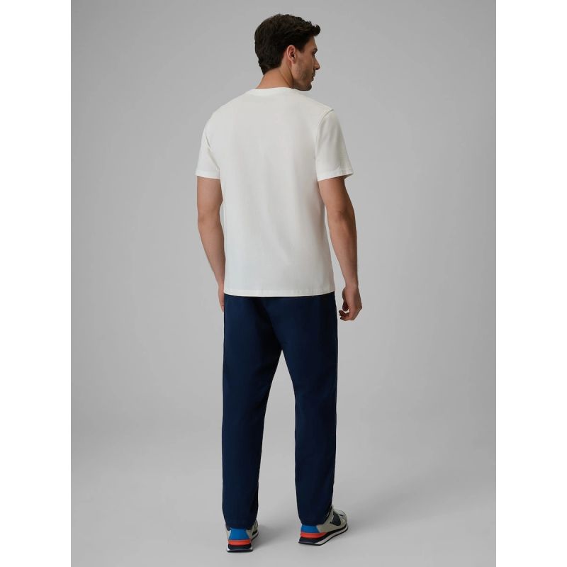 Men's casual trousers 4F 4FRSS26TTROM1963-20S 4f