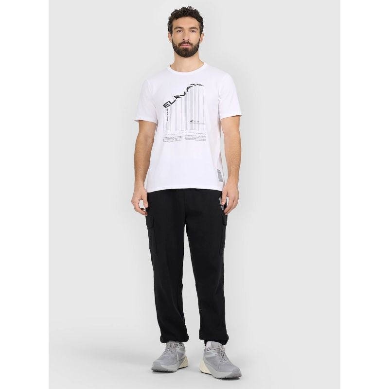 Men's regular printed T-shirt 4F 4FRAW25TTSHM3845-10S 4f