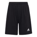 Adidas Entrada 22 Jr H57502 shorts Clothing/Training Adidas