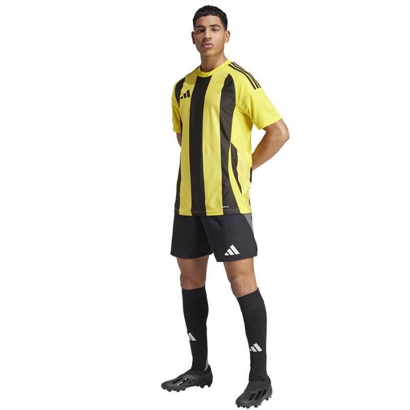 Adidas Striped 24 JSY M T-shirt IW2146 Clothing/Football Adidas