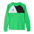 Adidas Assita 17 Jr AZ5406 sweatshirt Clothing/Football Adidas