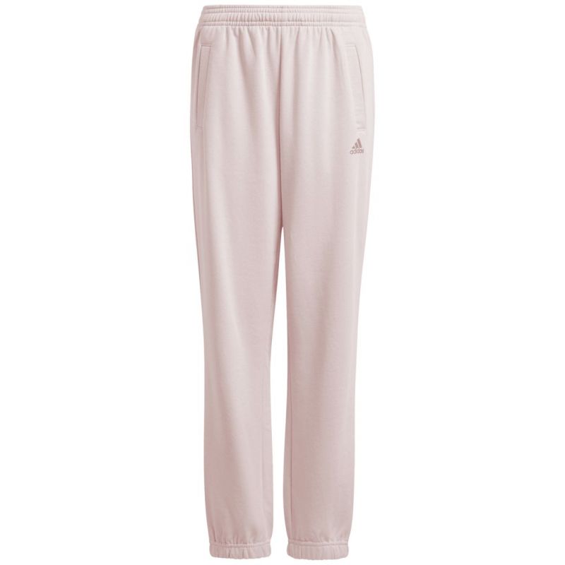 adidas Essentials Small Logo Feel Cozy Fleece Jr JF8746 pants Clothing/Lifestyle/Trousers, shorts Adidas