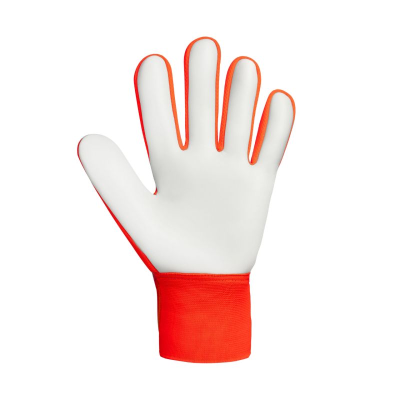 Goalkeeper gloves Reusch Attrakt Starter Solid M 5570514 2290 Accessories/Gloves Your Sports Performance