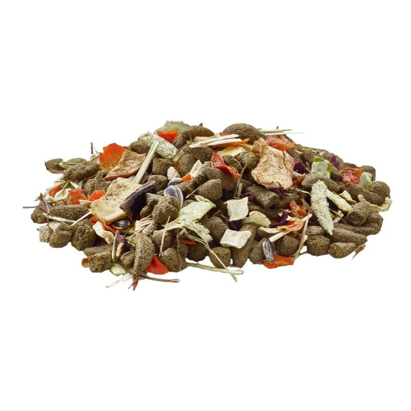 VERSELE LAGA Nature Cavia - Guinea pig food - 2.3 kg Dla małych zwierząt/Karma Your Sports Performance