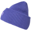 Helly Hansen Winter Hat RIB BEANIE 54020 690