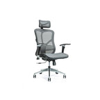 Ergonomic office chair ERGO 500 gray Fotele/Fotele biurowe Your Sports Performance