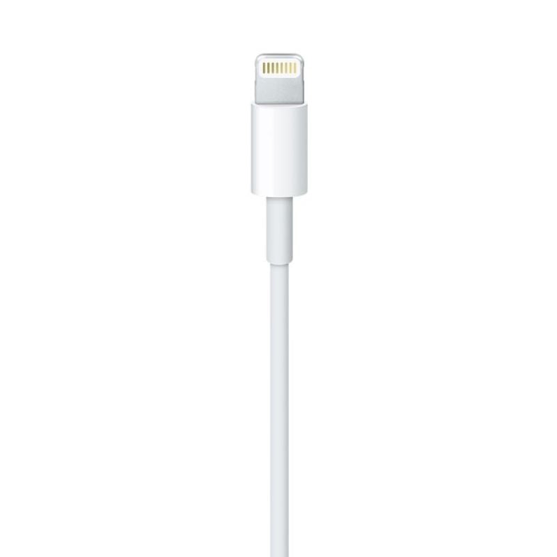 Apple Lightning to USB Cable (2m) MD819ZM/A In preparation Your Sports Performance