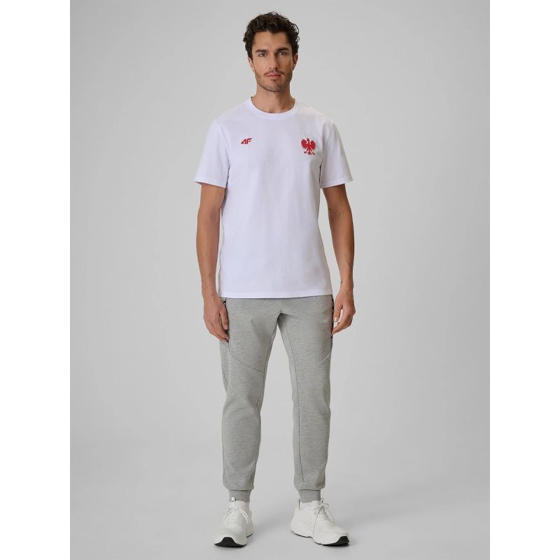 Men's cotton fan T-shirt 4F 4FRSS26TTSHM4203-10S