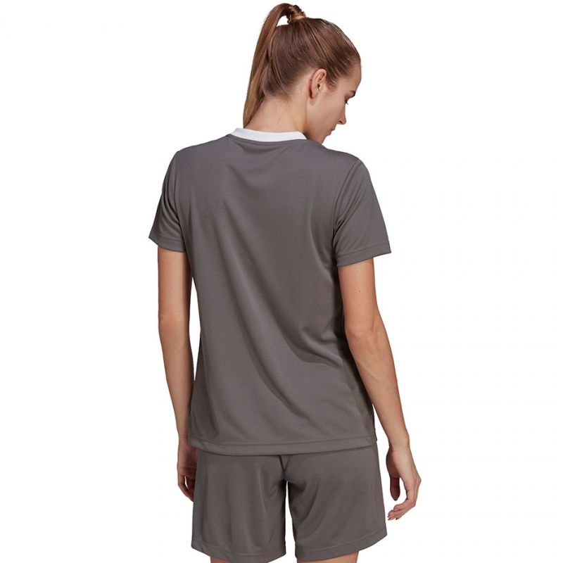 T-shirt adidas Entrada 22 Jsy W H59848 Clothing/Training Adidas