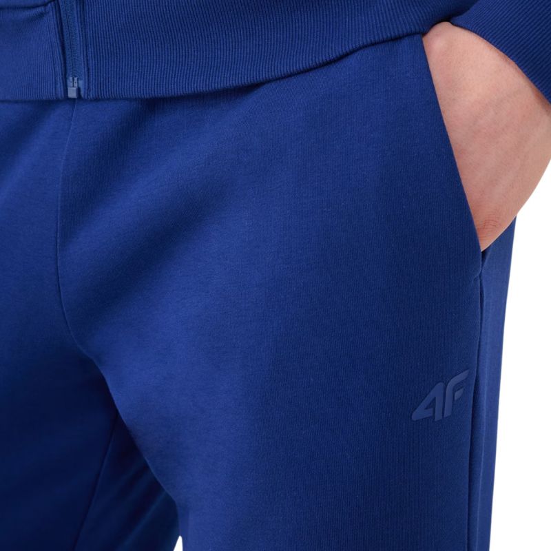 Trousers 4F Cas M1139 M 4FWMM00TTROM1139 031S Clothing/Lifestyle/Trousers, shorts/4F 4F