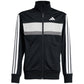 adidas Seasonal Essentials Tiberio 3-Stripes Tricot Jr Tracksuit JY0509 Clothing/Training Adidas