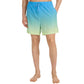 Swim shorts 4F M 4FWSS25UBDSM132 33S Clothing/Swimming/4F 4F