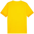 Puma teamGoal Matchday Jersey M 705747 07 Clothing/Football Your Sports Performance