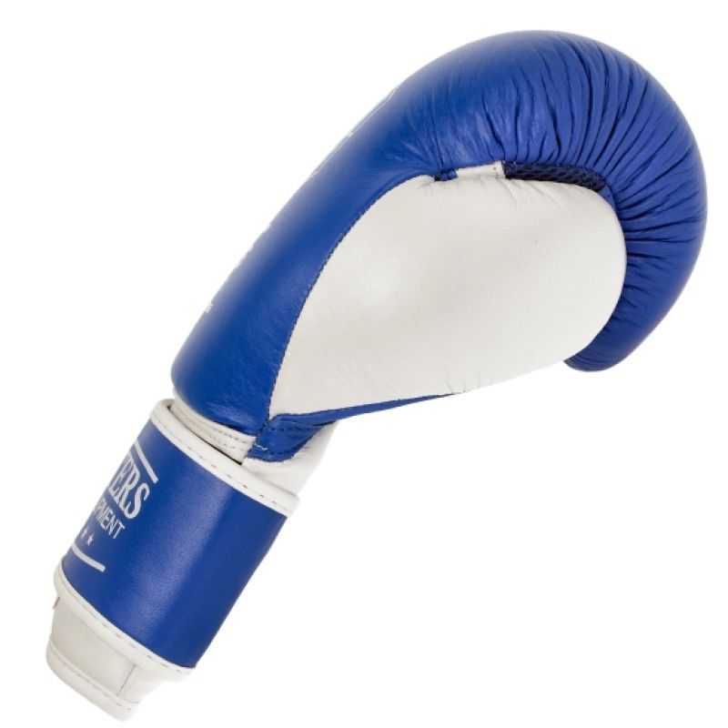 Leather boxing gloves MASTERS RBT-TRW 01210-02 Accessories/Gloves Your Sports Performance