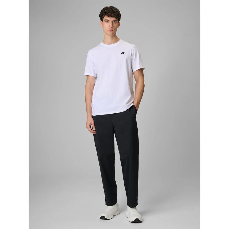 Men's regular plain T-shirt 4F 4FRMM00TTSHM4192-10S 4f